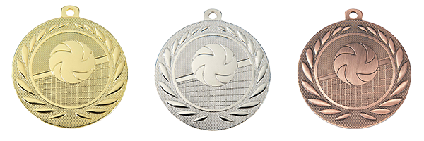Medaille ijzer volleybal